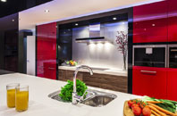 Hollocombe Town kitchen extensions