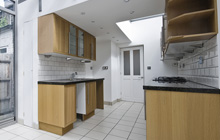 Hollocombe Town kitchen extension leads